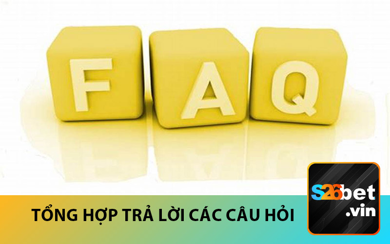 tổng hợp trả lời các câu hỏi